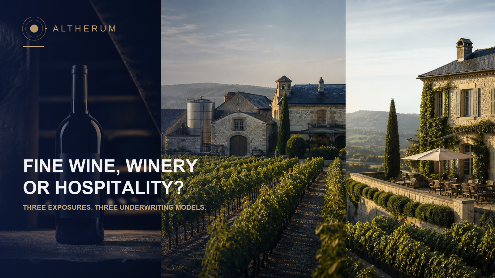 Cover image for the article “Fine Wine, Winery or Hospitality? Three Exposures That Should Not Be Confused”
